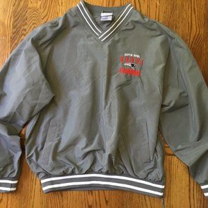 Men's Reebok Patriots Super Bowl XXXVI Pullover